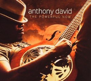 The Powerful Now by Anthony David