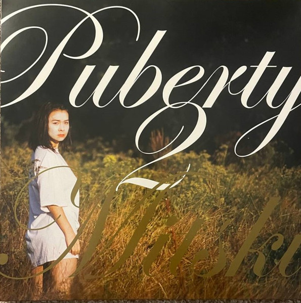 Puberty 2 by Mitski physical vinyl pressing cover artwork on VinVibe