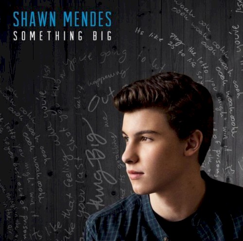 Something Big by Shawn Mendes