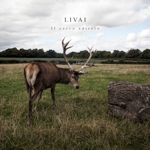 Il Cervo Adirato by Livai