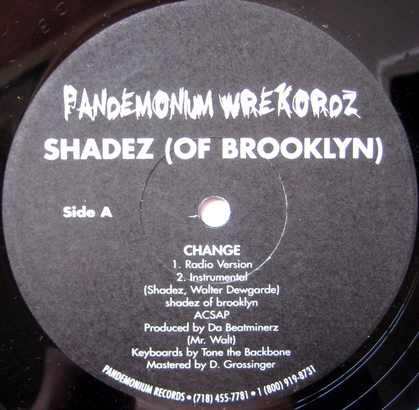 Change / When It Rains It Pours (Survival Warz) by Shadez Of Brooklyn