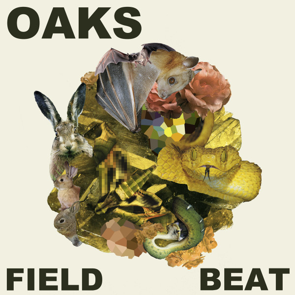 Field Beat by Oaks