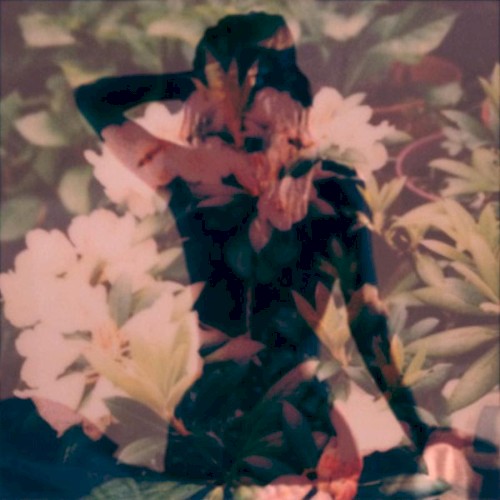 Modern Vices by Modern Vices