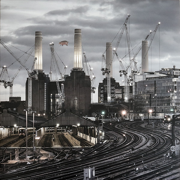 Animals by Pink Floyd