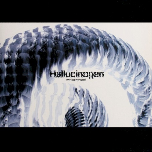 Mi-Loony-Um! by Hallucinogen