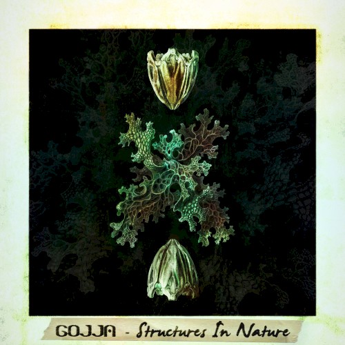 Structures In Nature by Gojja