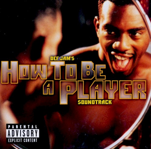 Def Jam's How To Be A Player Soundtrack by Various