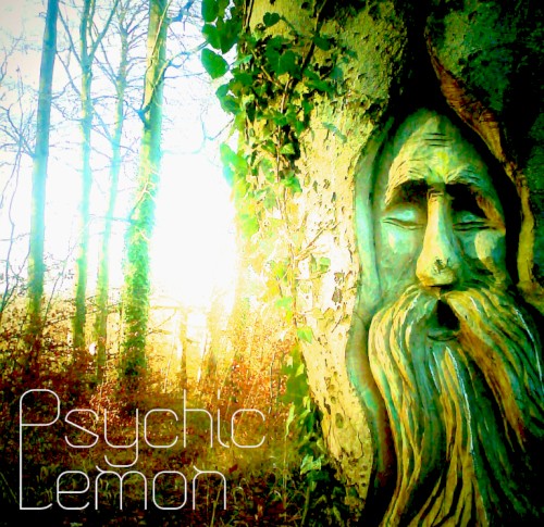 Psychic Lemon by Psychic Lemon