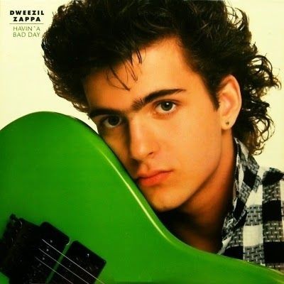 Havin' A Bad Day by Dweezil Zappa physical vinyl pressing cover artwork on VinVibe