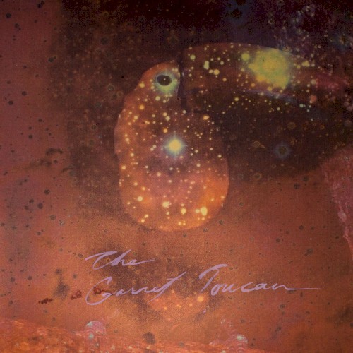 The Garnet Toucan by Monopoly Child Star Searchers