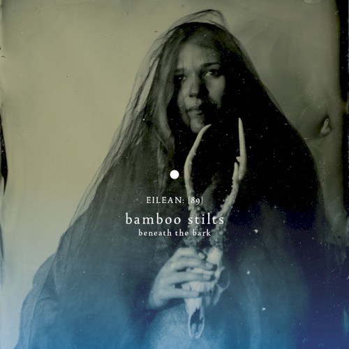 Beneath The Bark (eilean 89) by Bamboo Stilts