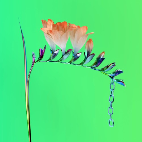 Skin Companion EP I by Flume