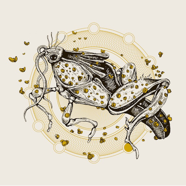 Burning Love vinyl record cover artwork on VinVibe
