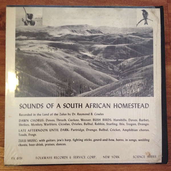 Sounds Of A South African Homestead (In The Land Of The Zulus) by Various