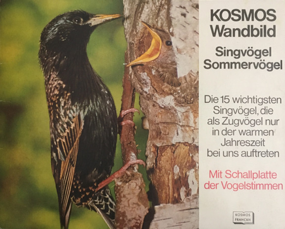 Singvögel - Sommervögel by No Artist