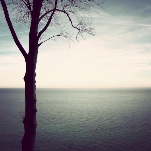 Sense Of Life by Martin Nonstatic