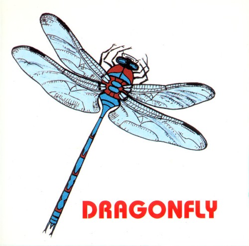 Dragonfly by Dragonfly