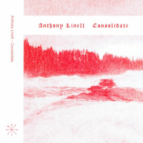 Consolidate by Anthony Linell