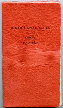 Birth Canal Blues Live by Anok Pe