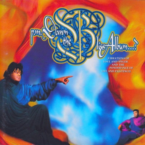 The Bliss Album (Vibrations Of Love And Anger And The Ponderance Of Life And Existence) by P.M. Dawn