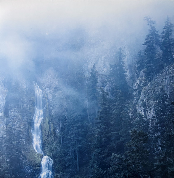 Diadem Of 12 Stars by Wolves In The Throne Room