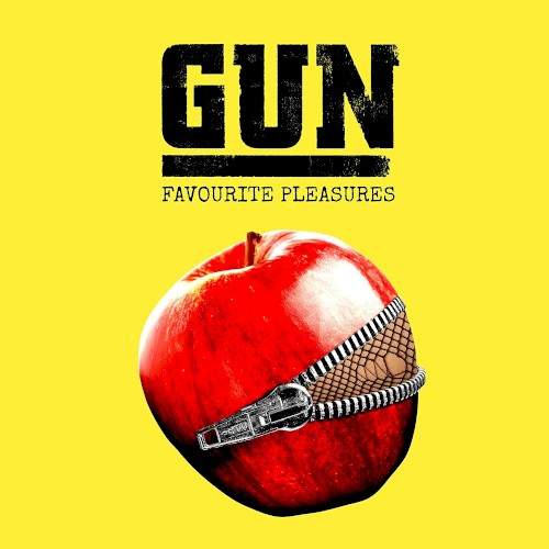 Favourite Pleasures by Gun