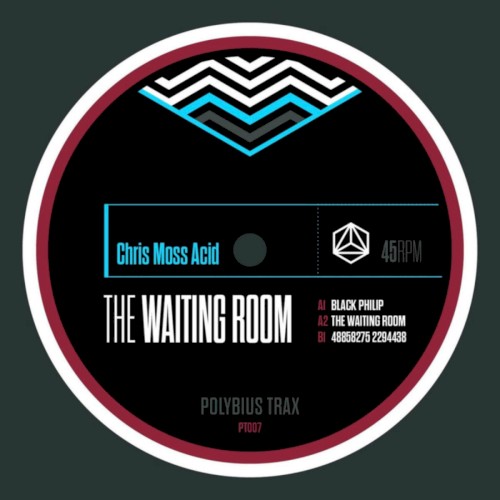 The Waiting Room EP by Chris Moss Acid