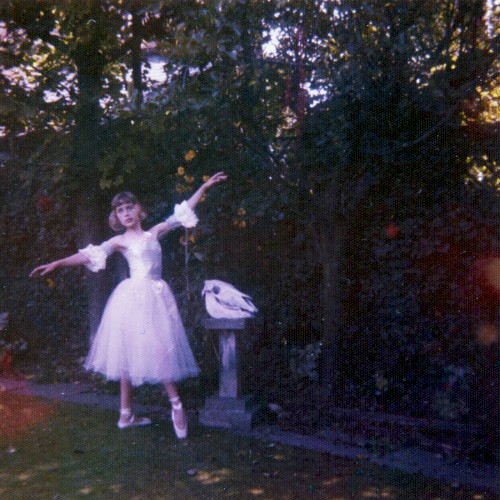 Visions Of A Life by Wolf Alice physical vinyl pressing cover artwork on VinVibe