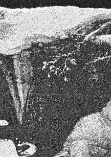 Cave Ritual by Cave Ritual
