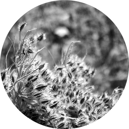 Decennium 1.1 by Various
