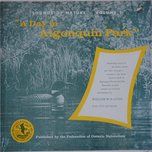 A Day In Algonquin Park by William W. H. Gunn