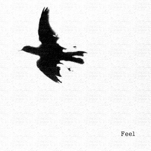 Feel by Blackbird