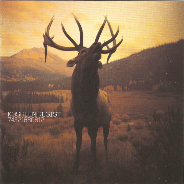 Resist by Kosheen