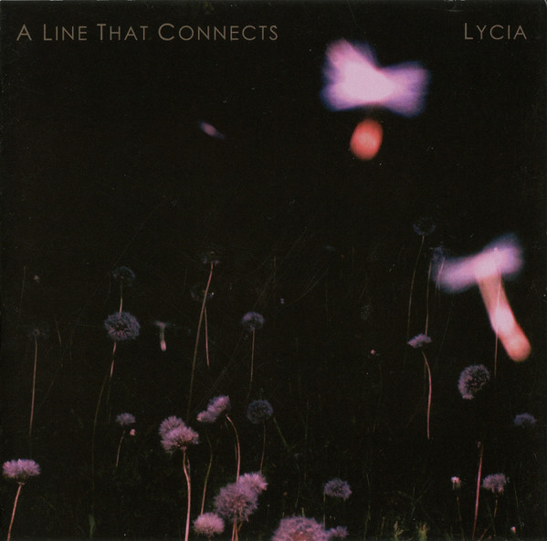 A Line That Connects by Lycia