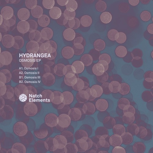 Osmosis EP by Hydrangea