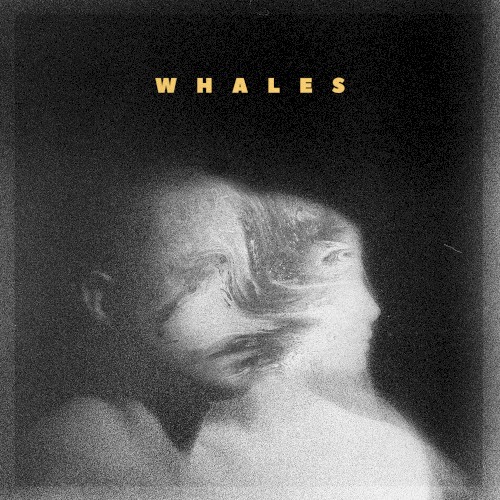 Whales by Whales