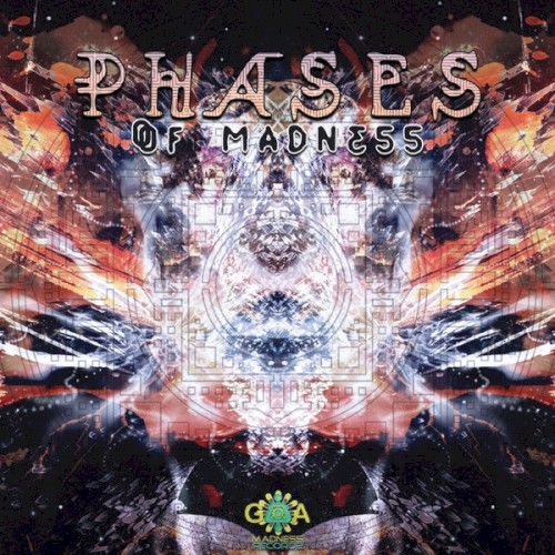 Phases Of Madness by Various
