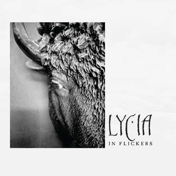 In Flickers by Lycia
