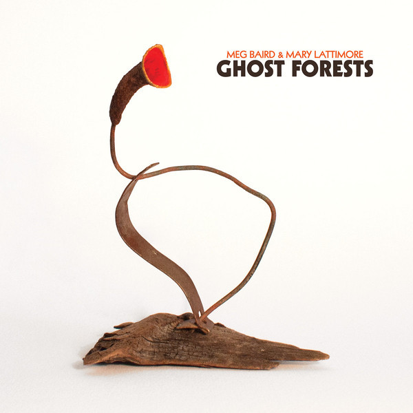 Ghost Forests by Meg Baird physical vinyl pressing cover artwork on VinVibe