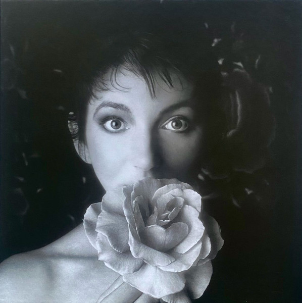 Remastered In Vinyl II by Kate Bush physical vinyl pressing cover artwork on VinVibe