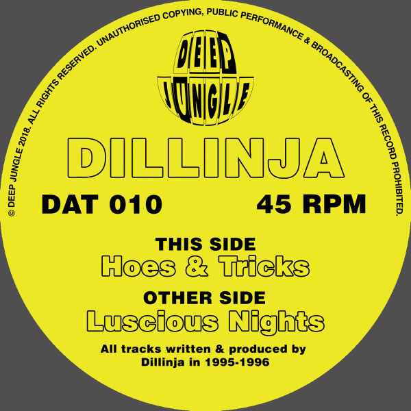 Luscious Nights / Hoes &amp; Tricks by Dillinja