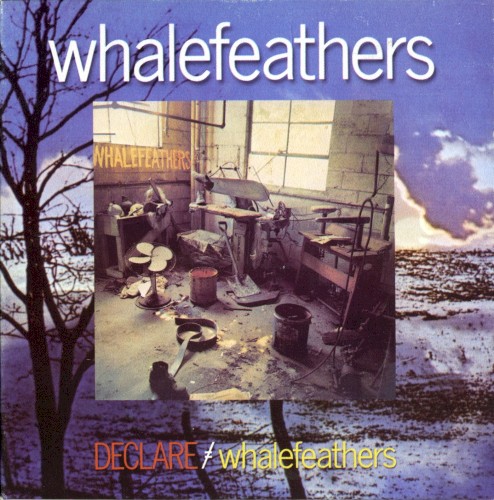 Declare / Whalefeathers by Whalefeathers