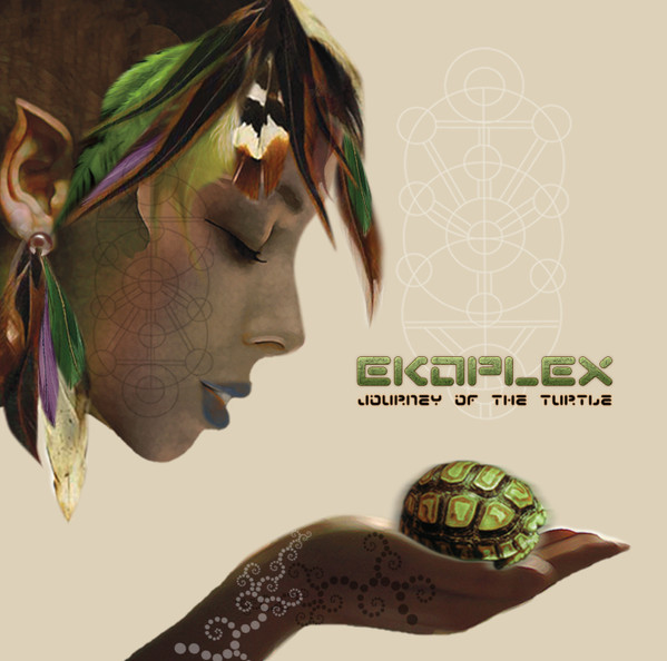 Journey Of The Turtle by Ekoplex
