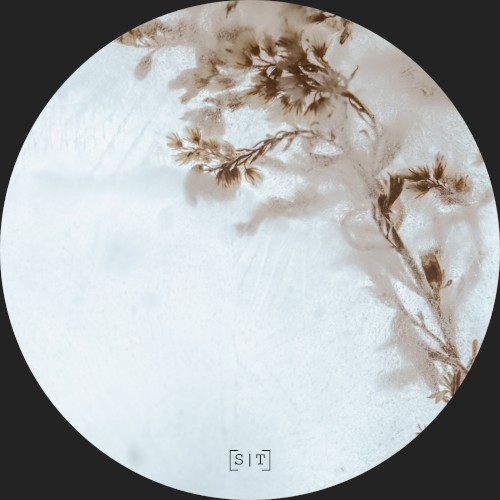 Flora by EAFHM