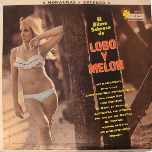 El Ritmo Sabroso De Lobo Y Melon by Lobo Y Melon