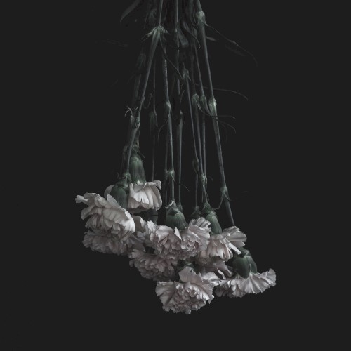Laid To Waste by Horsewhip