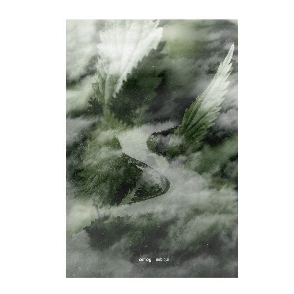 Timbiquí by Zemög