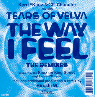 The Way I Feel by Tears Of Velva