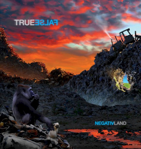 True False by Negativland