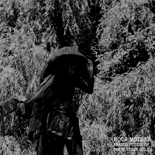 Analog Fluids Of Sonic Black Holes by Moor Mother